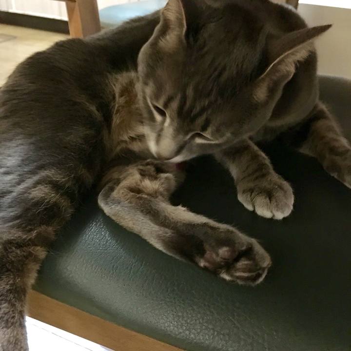 55773347 e4b0 4d0d 8ed1 9fa952016b71