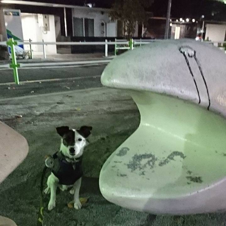 5577d6a4 0789 4bfb 9a55 45c6c4916643