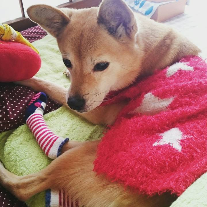 5577edc0 4407 4cdd 8168 41901db25ea9