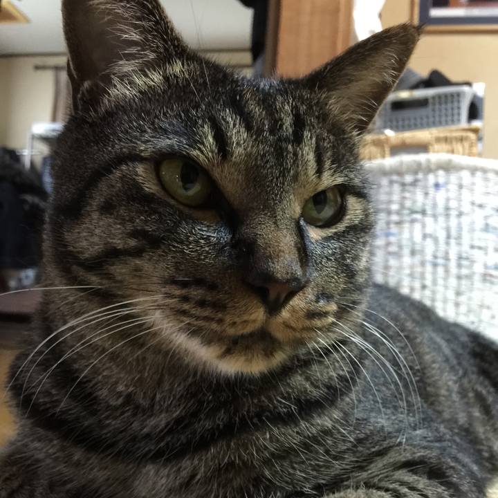 5578a618 bbbf 4712 8dab 1033ba5d07db