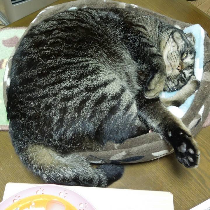 5578fadc 2664 4780 a5c5 beb2665505b3