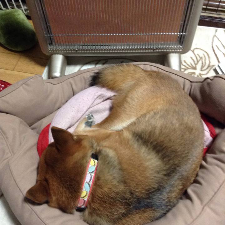 55790464 8ab9 4678 ac59 9fad586ceb7c