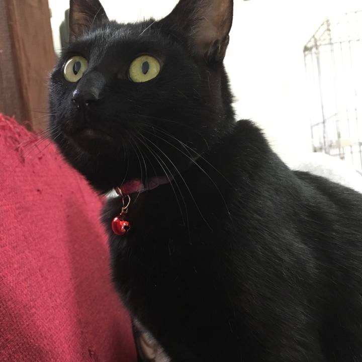 557922d6 5a3f 43a3 8508 68fa4e593151