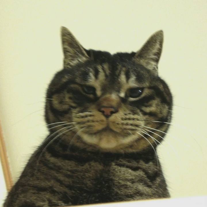 55795cf6 6570 4348 85b0 a355066262ce