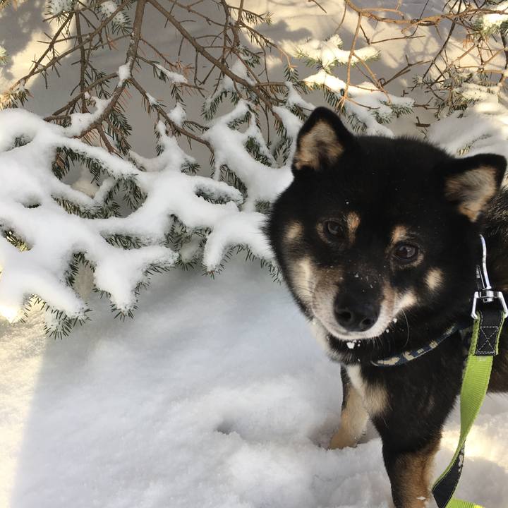 5579f883 f7f6 4c8e 896b 1cb0ea8c30da