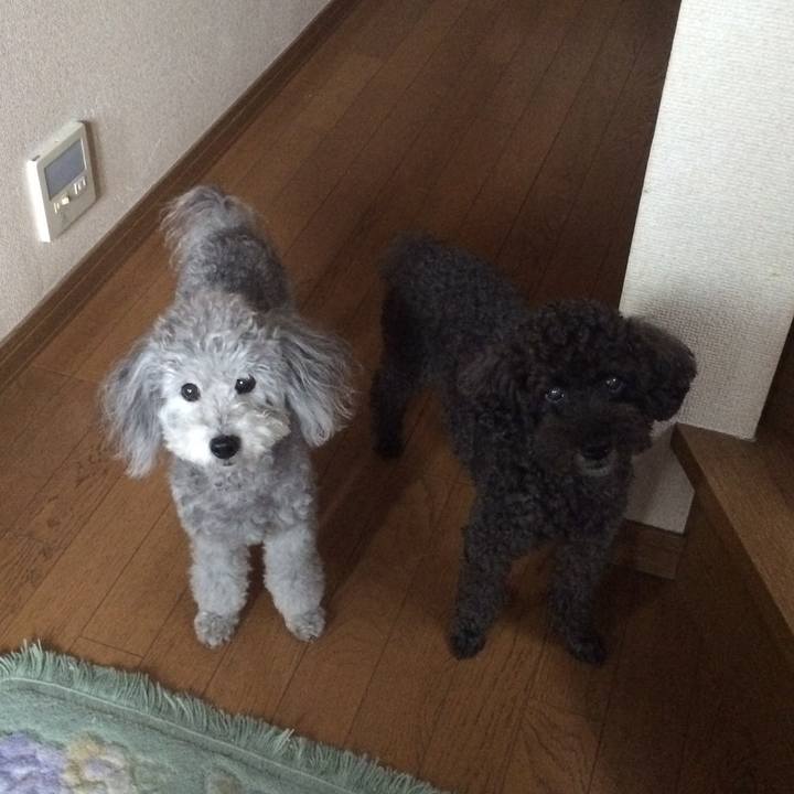 557a4194 8cf3 4496 8c19 e96ab59c18e1