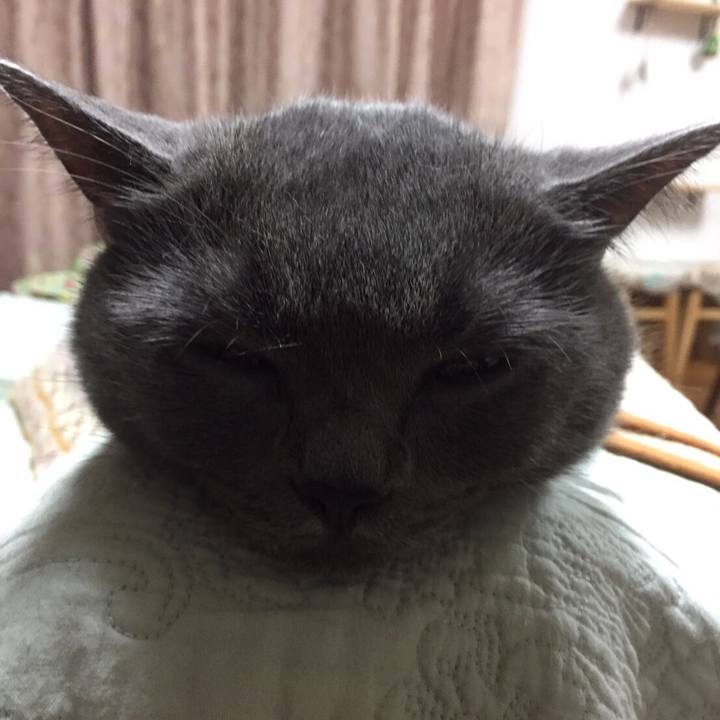 557b7038 46da 41e5 b7de afecb34bac40