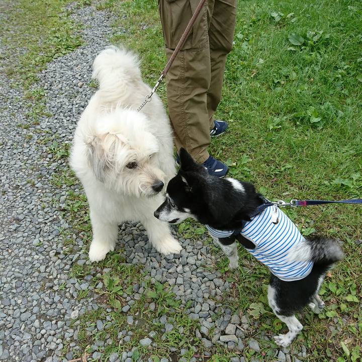 557c2eb8 1682 44d3 b521 a1e067115afb