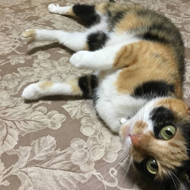 557d20e8 a609 44d9 8f94 7b4676d20906