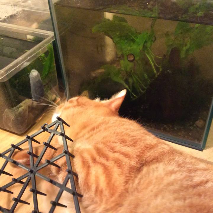 557d7dfe a885 4956 b8e7 8740601b54c9