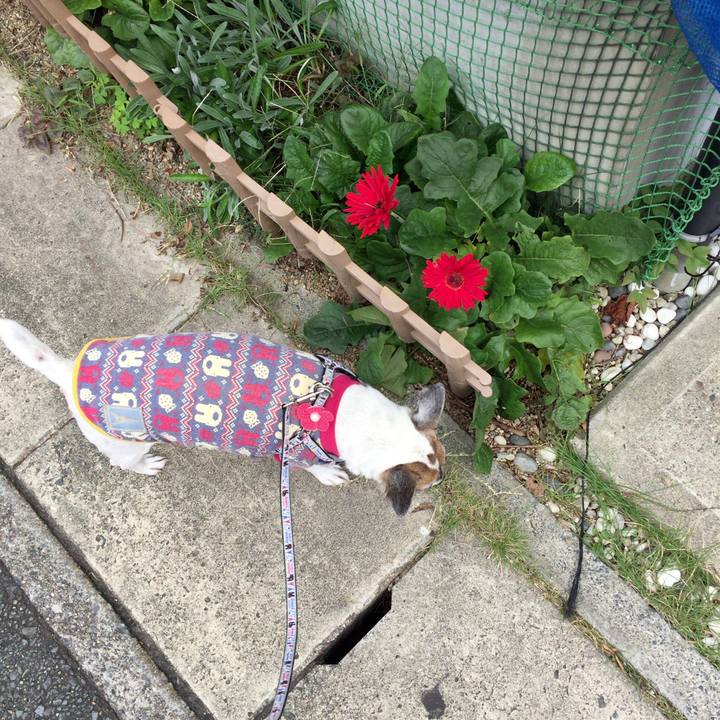 557d89ad a05b 4d10 9e98 79fa7cab0cbb