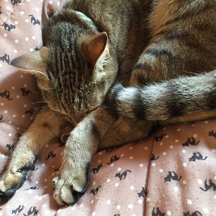 557e21be c9e9 4833 96a4 b6dd30b83bb4