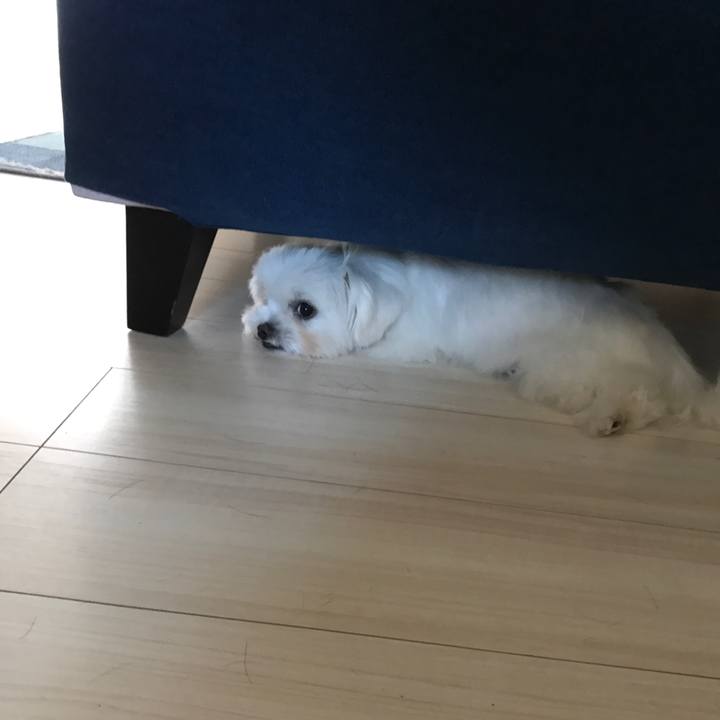 557e9b24 ef44 461b a54b dd19b236e25f