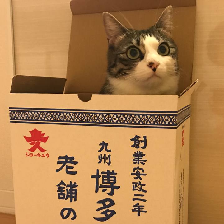 557ee42b 8656 452f aa13 b0d83e3328eb