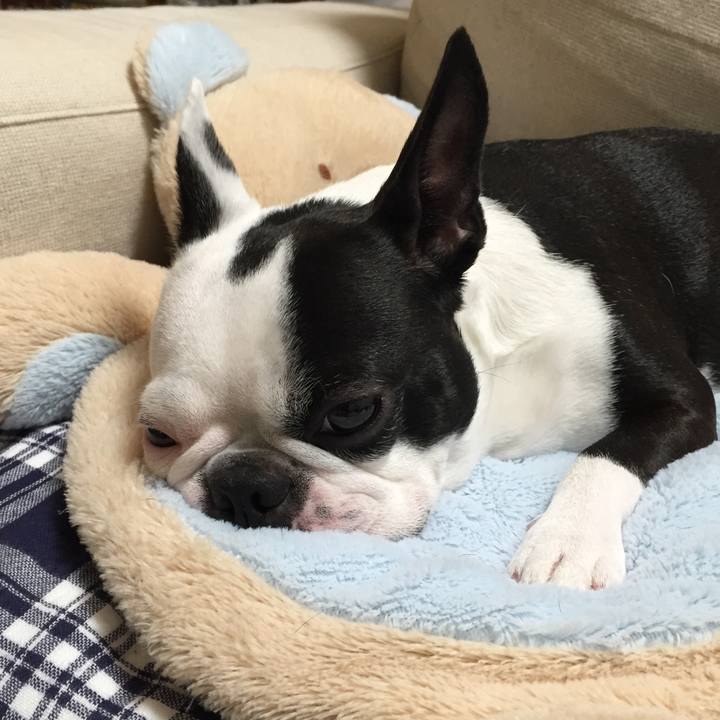 557ef483 1322 4c6b bba4 7bfec9ca16e0