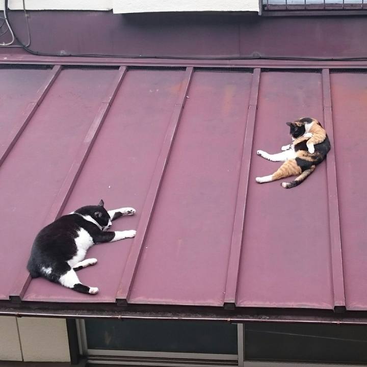 557f8e17 5fdd 4e09 96e2 0f88d6d4fa5d