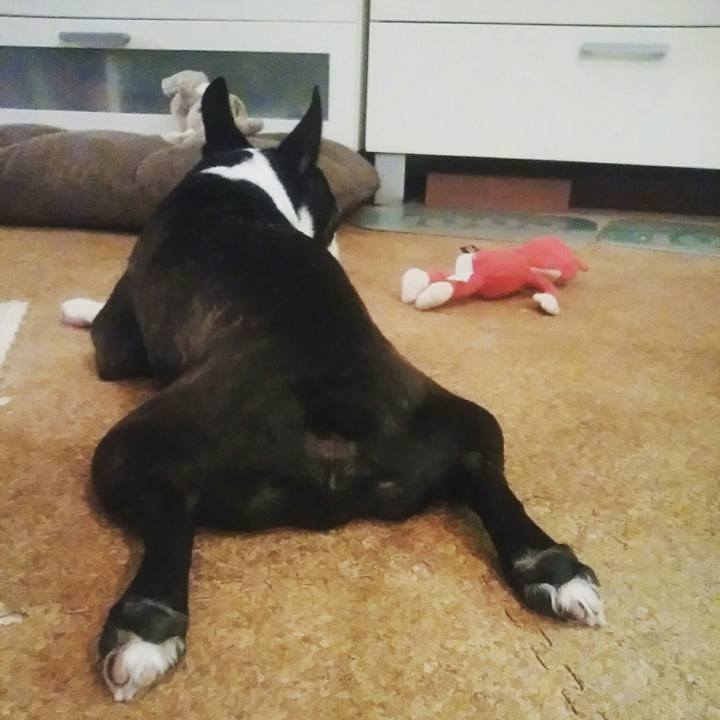 557fe7b3 c3ff 47d3 b2fd 5d2f246e3aa3