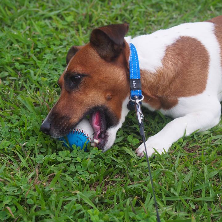 5581ce3d ab2a 4cba bca2 29ced92022b6