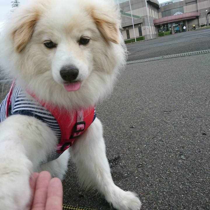 5581e3f3 e07a 4559 a3f4 429ccafaec06