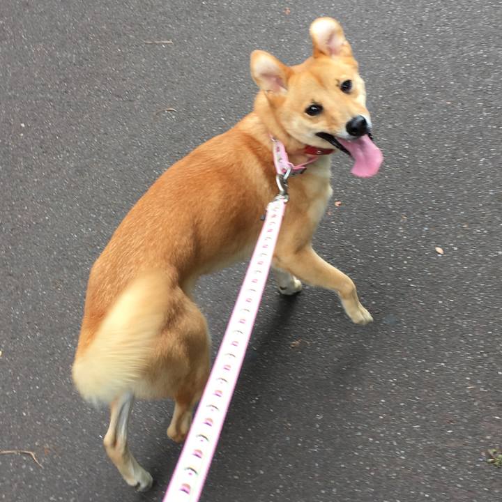 55830c92 35dc 4299 82b5 f9f07b1a6222