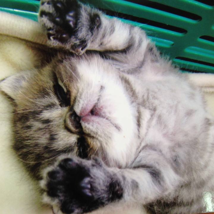 558330b6 7b3e 4b9d bed5 0a1e0fdd1e46