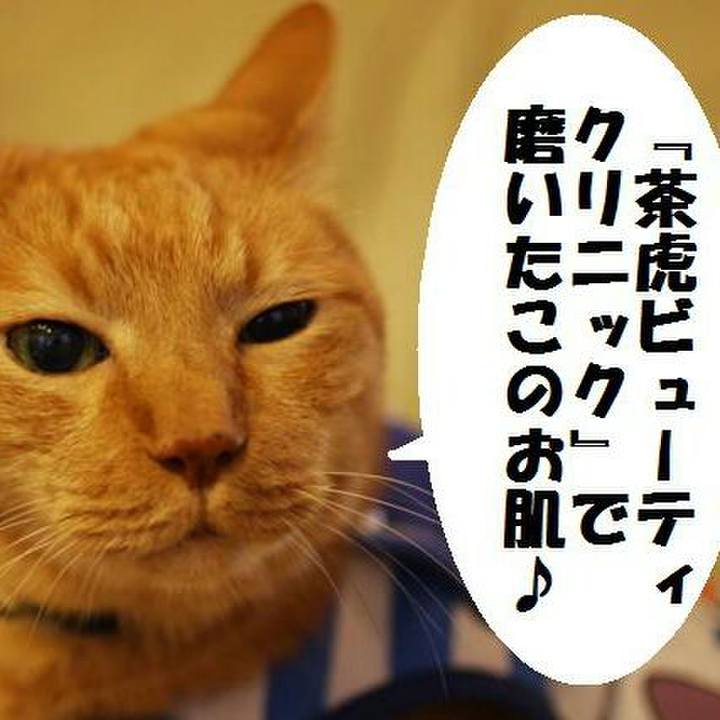 55835d04 c01a 44d4 bdc8 88a9898e14b5