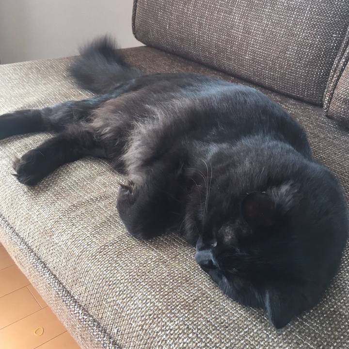 558381e1 73de 4211 b635 eb7def7c1f82