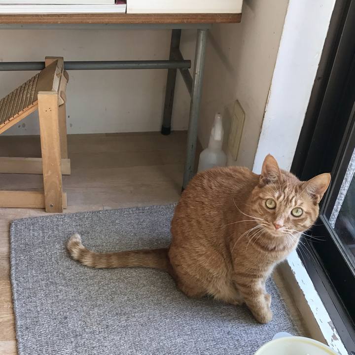 5583e3fc ff4d 40c1 8aea e6a947ef8a5f