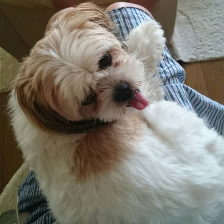 5585263f 9642 47d3 a54f 2158a7a64fda