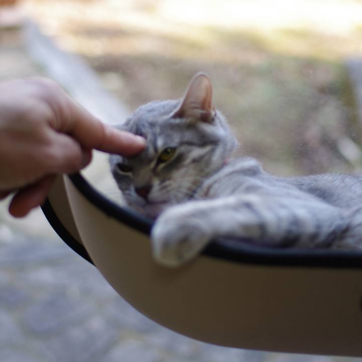 5585d5e5 7a11 47a7 82ee 60ed2a002c2a