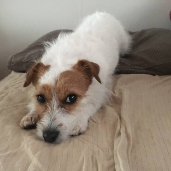 558615bf 5e65 41d4 acd5 d9302745ef5a