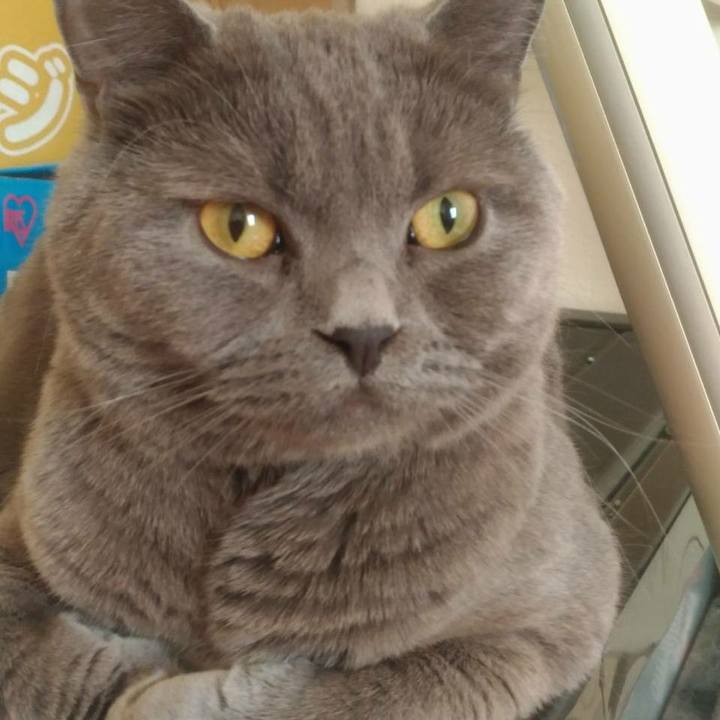 5586bb1b 5e3f 4f45 9438 e49807af780d