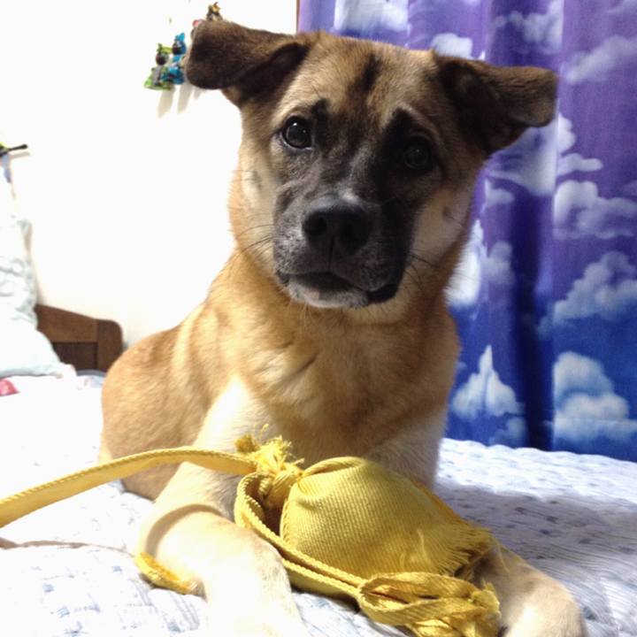 558722ee cb59 429c 9804 eaf410f3503f