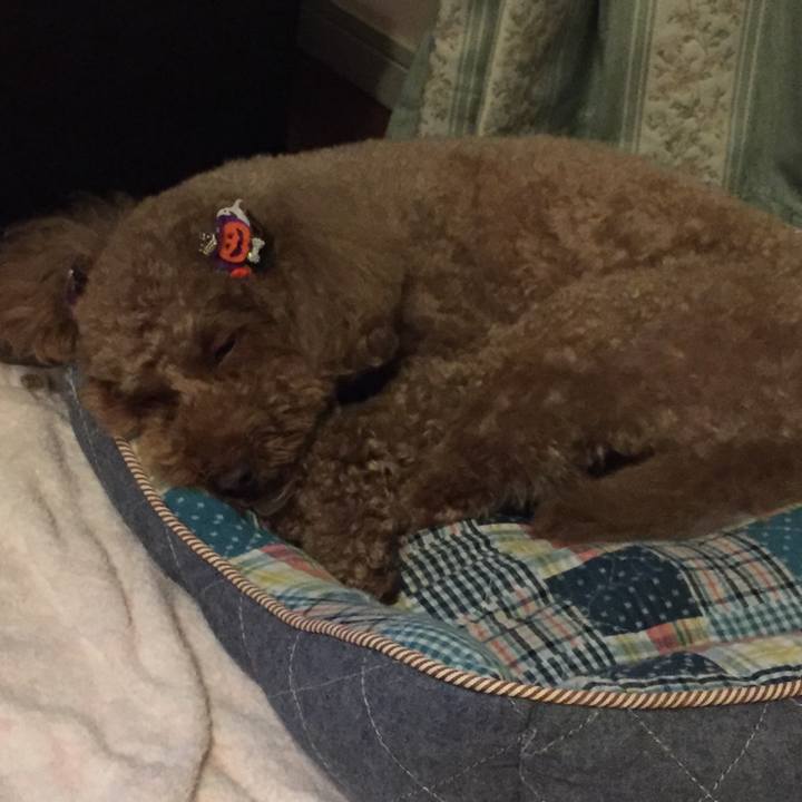 558787ea b896 4996 b960 da8bfc49a972