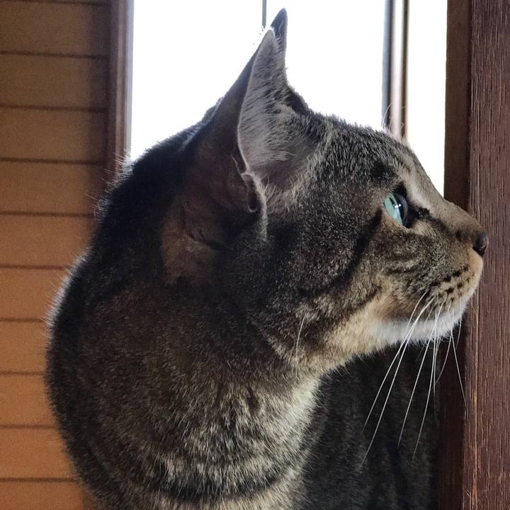 5588053f 797c 4748 b222 ac8b0a38b719