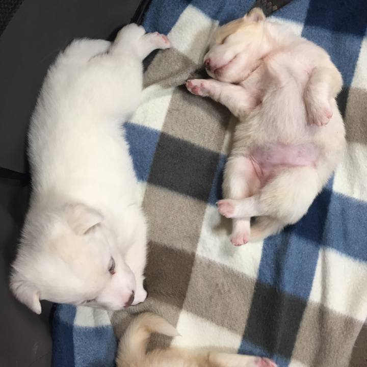 5588bf7d 74cd 418e 80a1 1ecc5f8cc916