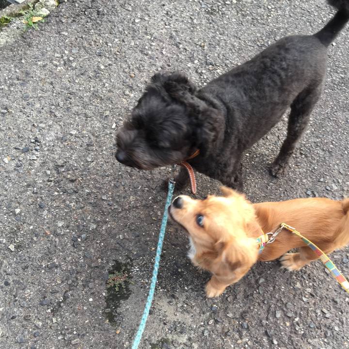 5588e257 9304 465a b41c 2ede45d5b5ba