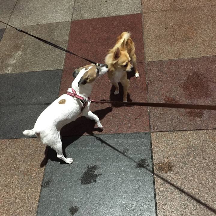 5588edd4 2e14 45b0 b301 159a4f731162