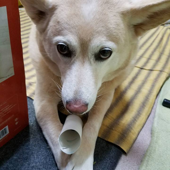 55898971 bba3 4c7a 9b93 8dd06493daf7