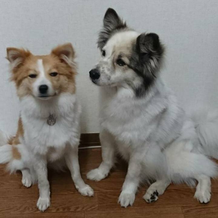 558a15cb b767 4b89 8a3d d15d70d3eae1