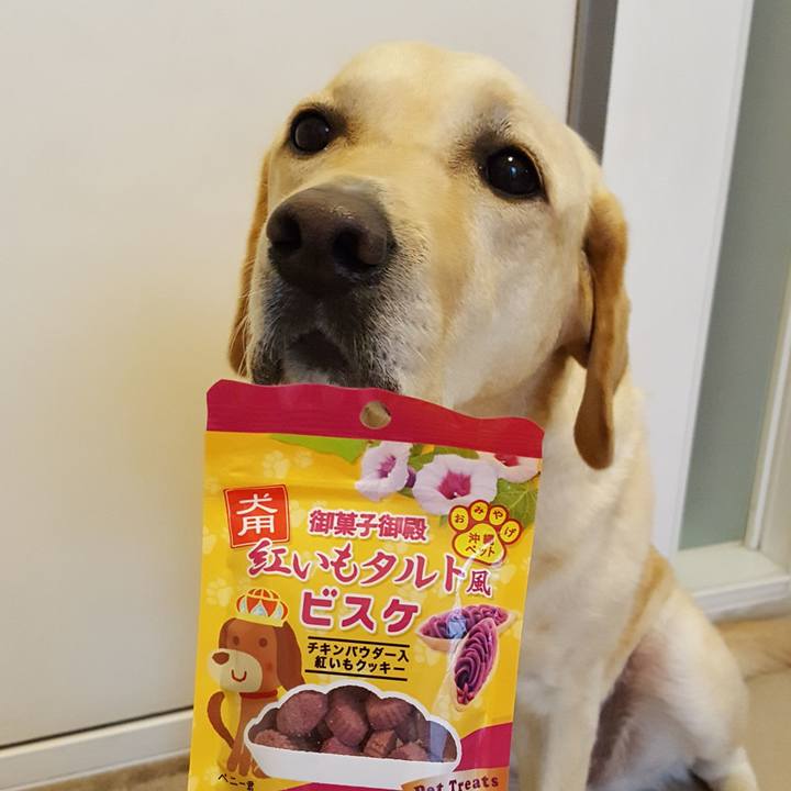 558a72c8 ca9e 4334 b7be b78df9b4f93e