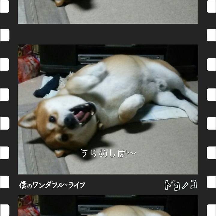 558aed46 5d6c 4e3a bd95 37bccdcd484d