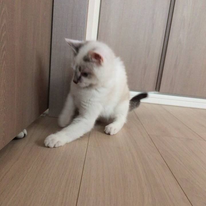 558b829e 7089 4484 98a4 f6c7922f9624