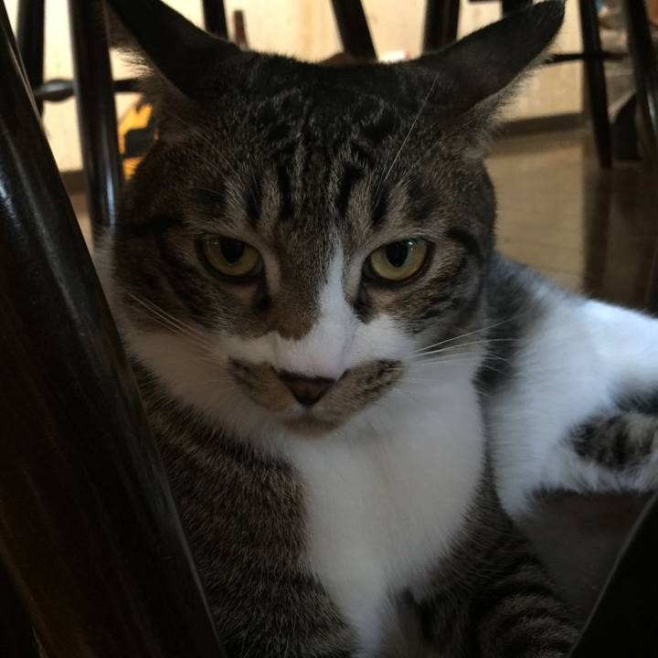 558befa4 498d 4537 8a00 7601f83cc93d