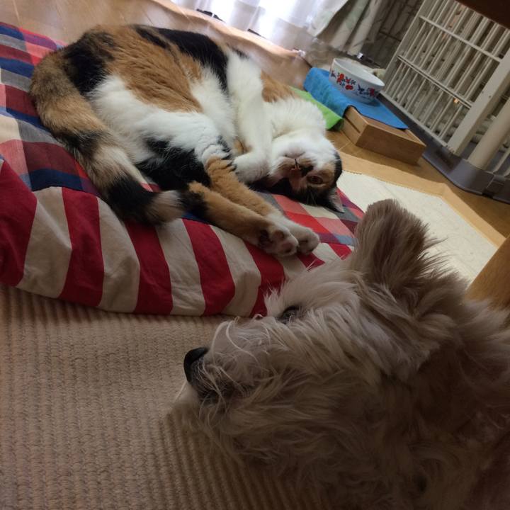 558c9c49 519f 4760 9a14 b008e96f5c46