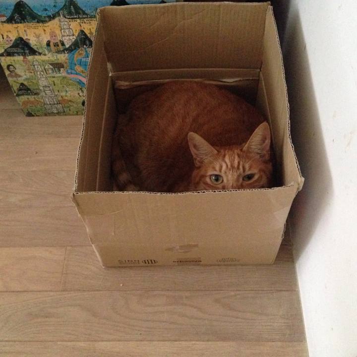 558d06b1 5b8b 4ff6 83c4 79aee9cac277