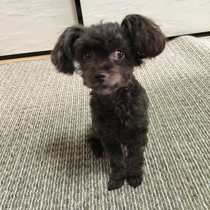 558dc959 def1 4482 a490 71f80dc9fc63