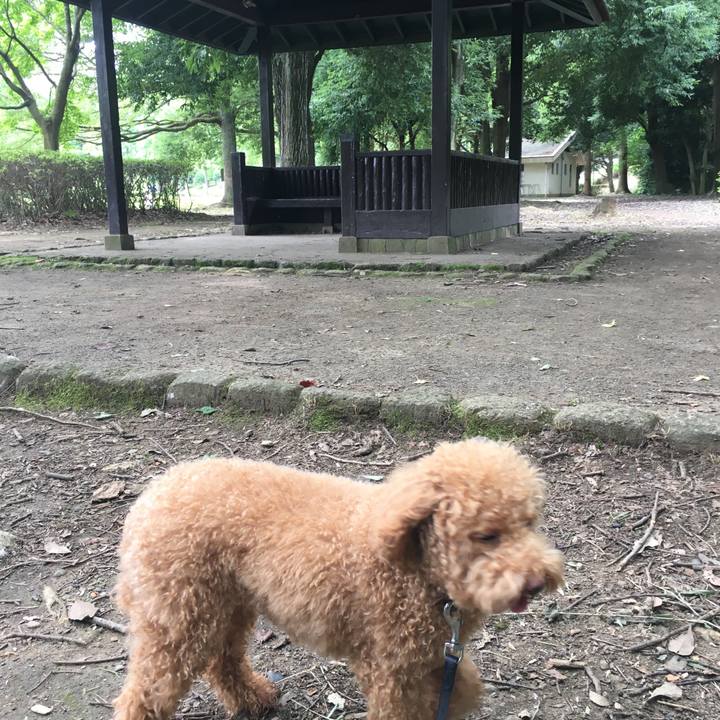 558dcda3 77b2 4924 a92e d86facad8fdc