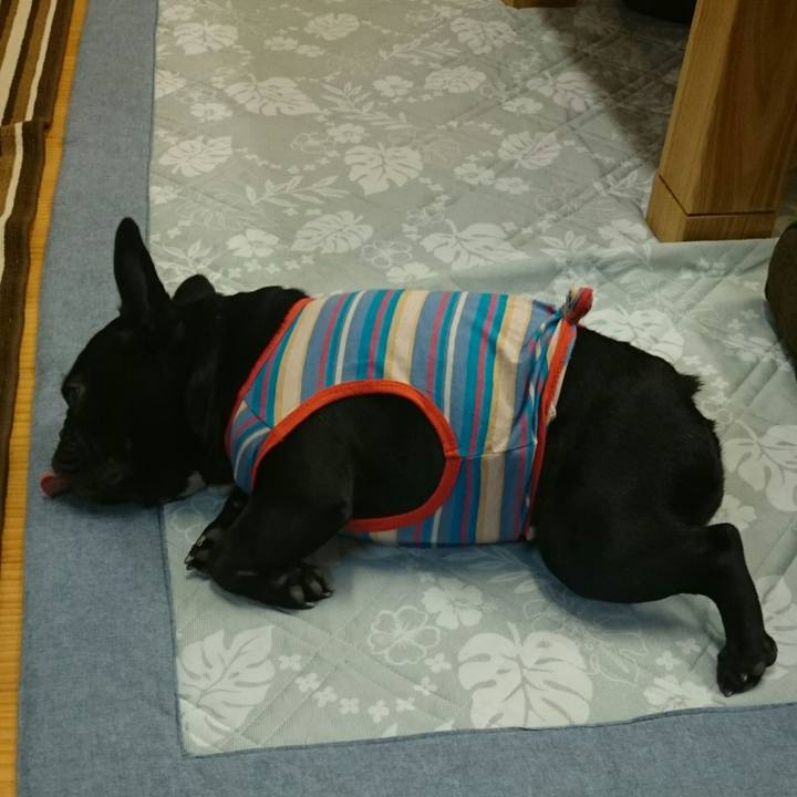 558ddb7b 28ab 4c69 b40c 3b1d328b61cd