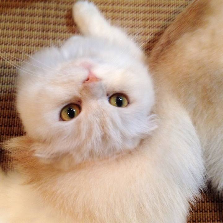 558de449 ec9e 4bd2 b2a2 9cb7774bfab1